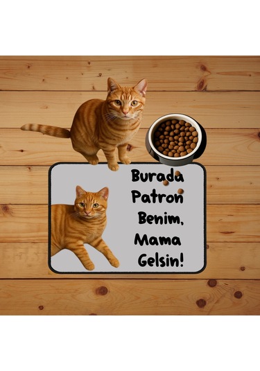 Fotoğraf Baskılı Kedi Köpek Mama Paspası Ve Beslenme Altlığı Mama Önü Tuvalet Önü Paspas 40x60cm Çok Renkli