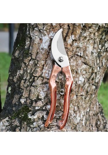 Hangfox Gümüşçelik Bahçe Budama Makası - Ergonomik Kavrama, 35mm Kalın Dal Kesimi, Yarı Eğik Bıçaklı, Gümüş/altın Renk Seçeneği