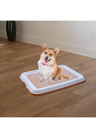 Homyl Küçük Köpekler Için Köpek Kırmızı-kahverengi