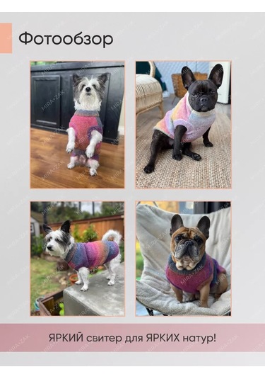 Mıra+zak Köpek Ve Kediler İçin Kademeli Kazak 226823014