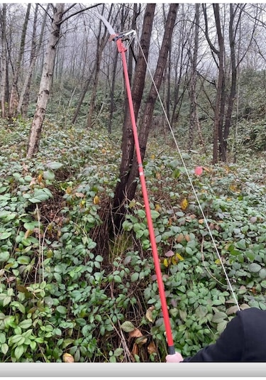 Meşem Yüksek Dal Budama Makası Testereli + Saplı