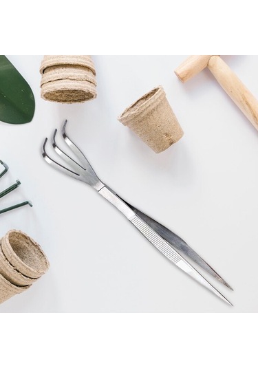 Suntek Bonsai Cımbız Mutfak Saksı Bitkileri Ofisi Için