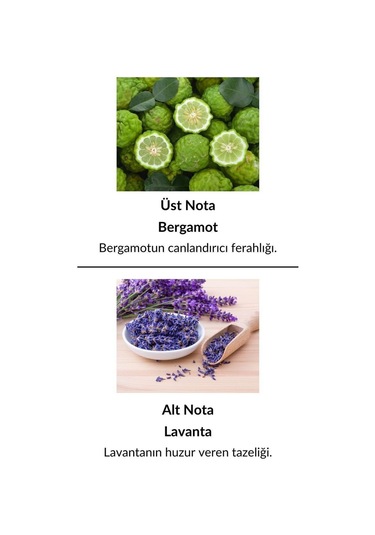 Alescia At-47 Erkek Parfüm EDP 50 ML