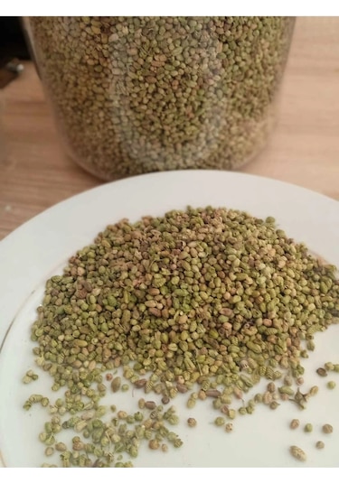 Bilye Kekik Organik 100 Fr Topak Kekik