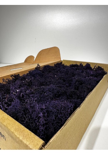 Reindermoss Şoklanmış Norveç Yosunu Terarium Yosunu Mor 5 Kg.