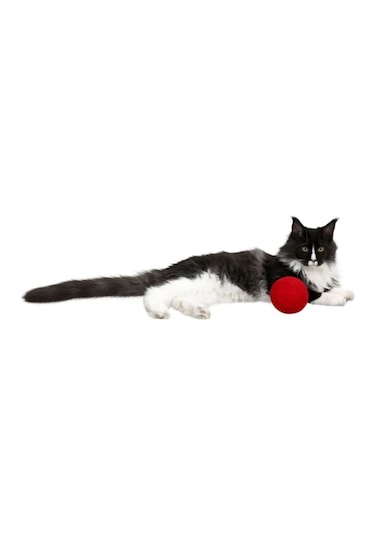 Kör Kediler İçin Çıngıraklı Kırmızı 10 CM Yumak Kedi Oyuncağı