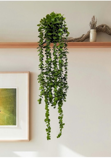 Saksıda Yapay Çiçek Elmas Yoğun Yapraklı Koyu Yeşil Okaliptus Sarkıtı 70 CM