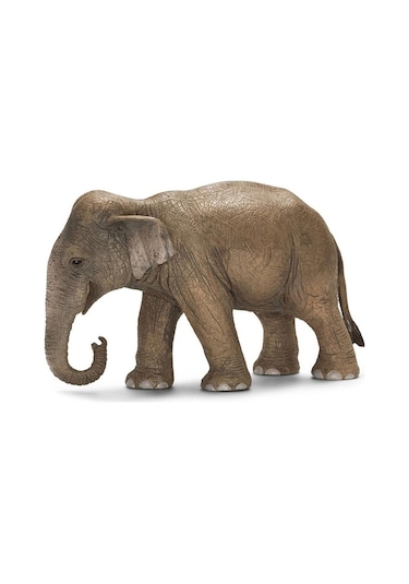 Schleich Dişi Asya Fili   14753
