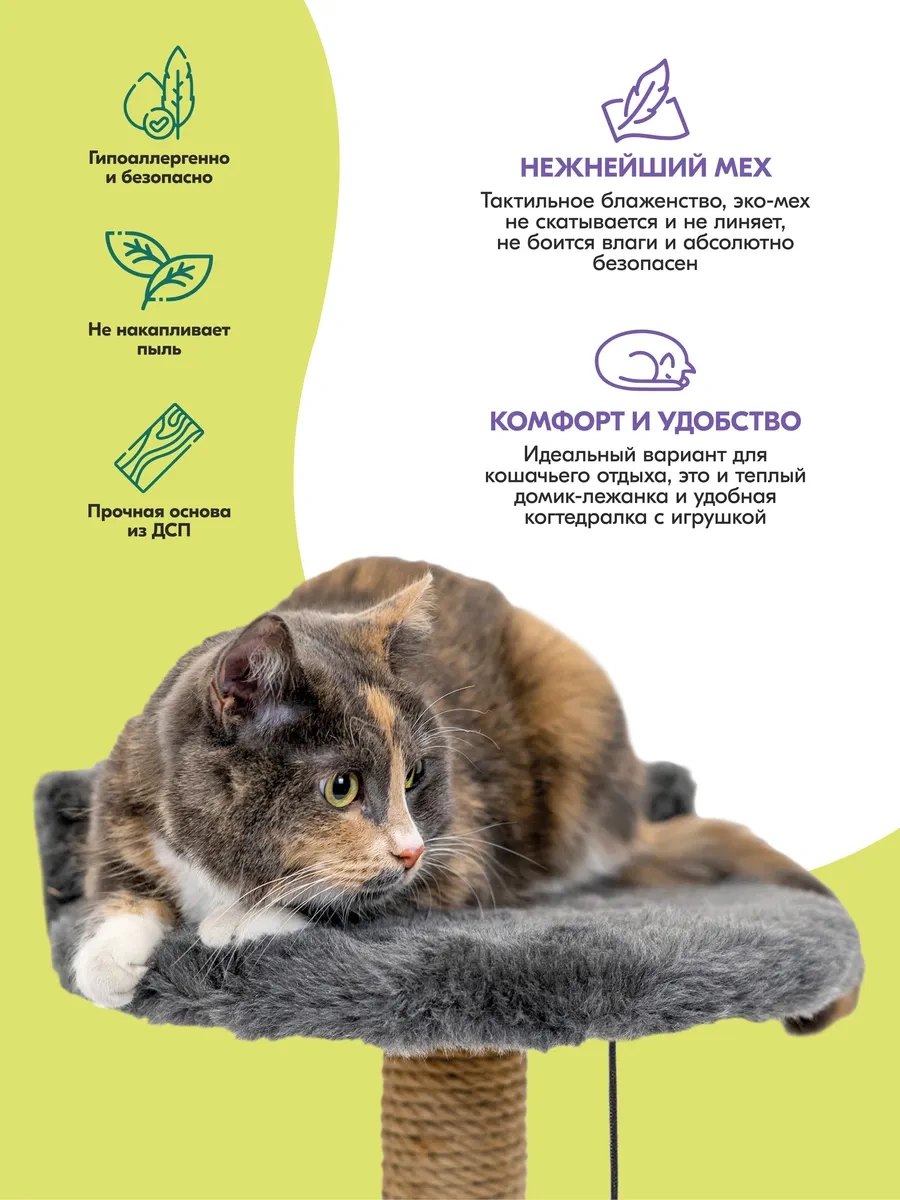 Pettails Yataklı Dikey Tırmalama Direği 35 35 Yükseklik 55 Cm 318220922