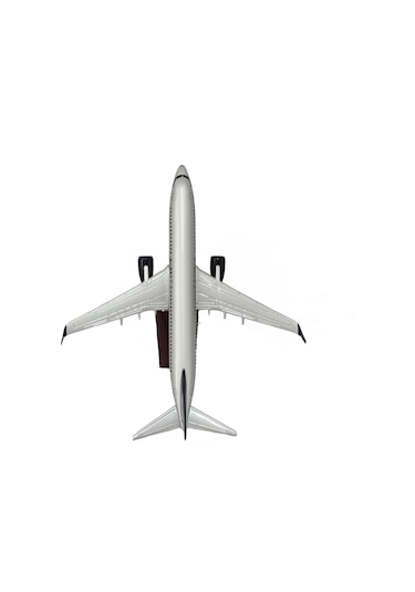 Zekupp Boeing 737-800 1/100 Gümüş Şeritli Model Uçak
