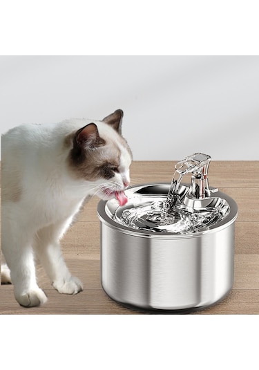 Eastmeeetwest--kedi Su Pınarı 2l - Gümüş