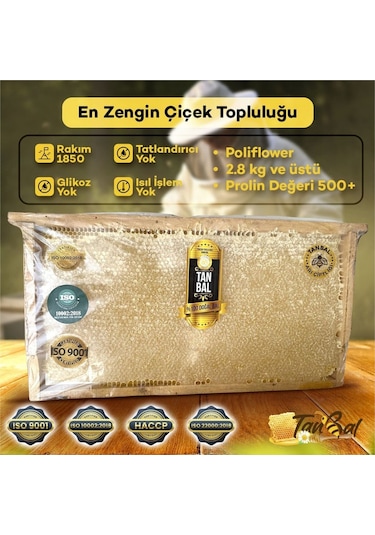 Tanbal Yayla Çiçek Balı 2800 G