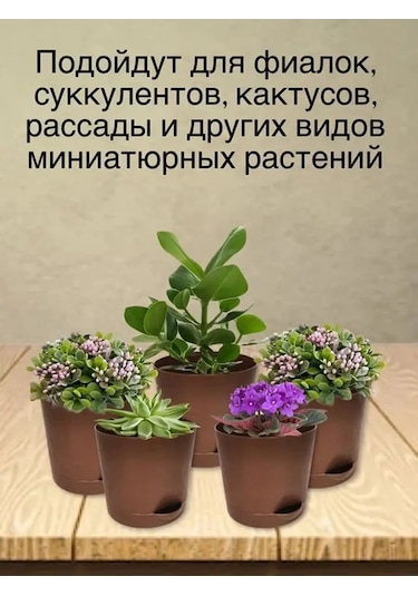 Interm Kaktüs Saksısı Minik Succulent, Menekşe Ve Çiçekler İçin Saksı 133193596