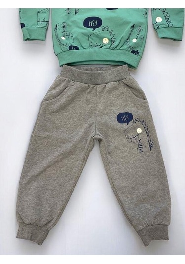 Erkek Bebek Dinazor Baskılı Pamuklu Eşofman Takım-15176 Yesil