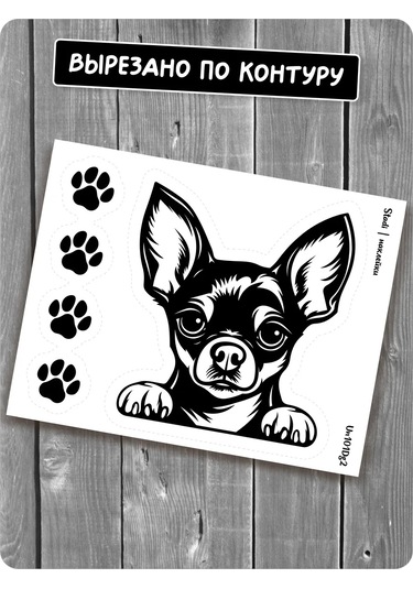 Stadi Dikkat Eden Köpek Etiketi 201967031 Siyah