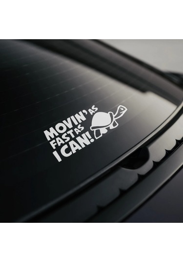 Yansıtıcı Hareket Mümkün Olduğunca Hızlı Hayvan Araba Çizgi/çizik Kapağı Yaratıcı Black 1 Piece Set