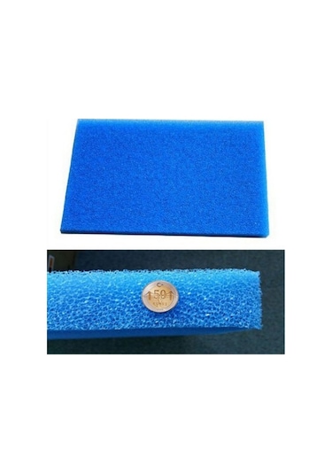 Biolojik Sünger 15 x 15 CM