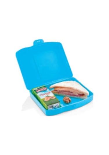 Adasev Plastik Bölmeli Besleme Kabı