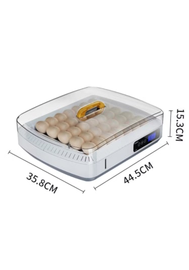 35 Yumurta Kuluçka Makinesi-en Yeni Arena Tasarımı İlhamı