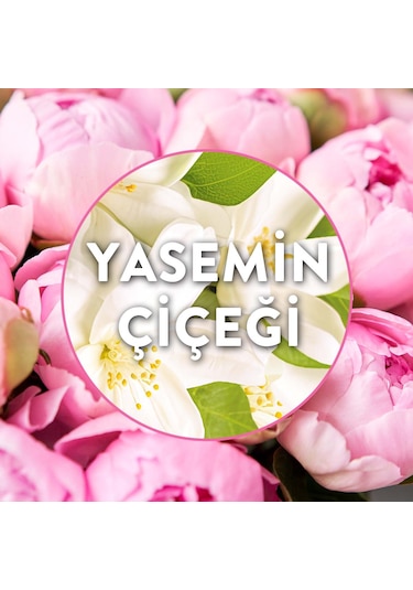 Elektrikli Oda Kokusu Yedek Şişe Yasemin Çiçeği 3x19 Ml