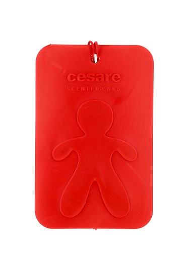 Falken Cesare Scented Card Oto Kokusu