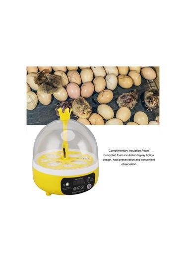 Qianfan Mini Yumurta Kuluçka Makinesi Otomatik Sıcaklık Nem