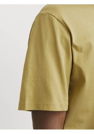 Jorvesterbro Tee Ss Crew Neck Noos Cedar Cedar Çok Renkli