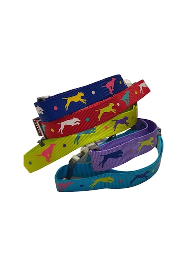 Leaping Dog Premium Boyun Tasması 2,5 Cm X 40-65 Cm Çok Renkli