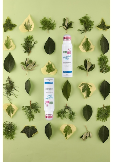 Sebamed Aerosol Fresh Deodorant 150 ML