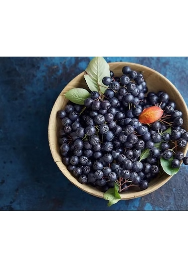 Anadolu Teknogıda Aronya Reçeli 640 G