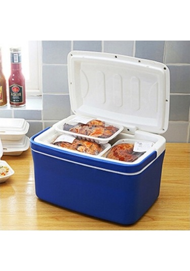 Wondernest Araba İçin Taşınabilir Mini Soğutucu 6l Eps Buzdolabı - Portatif