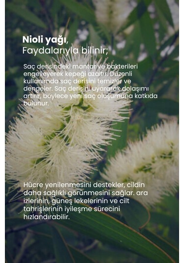 Tto Thermal Nioli Yağı 10 Ml