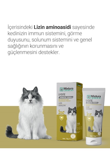 Mixtura Pharma Lysine Kedi Üst Solunum Yolu Macun - Kedi Maltı