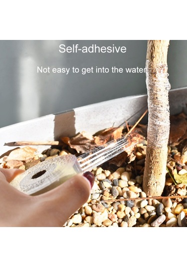 Bahçe Aşılama Bant Meyve Ağacı Fide Kendi Yapışkan Sargısı, Boyut:30mm X 120m