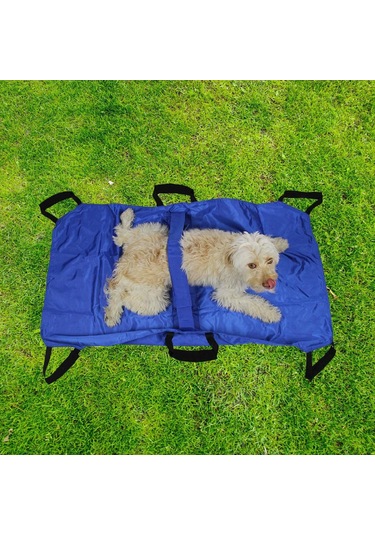 Suntek Kediler, Köpekler Ve Yavru Kediler İçin Hafif Evcil