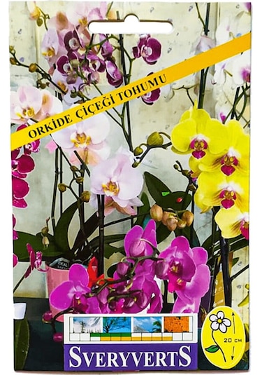 Orkide Çiçeği Tohumu