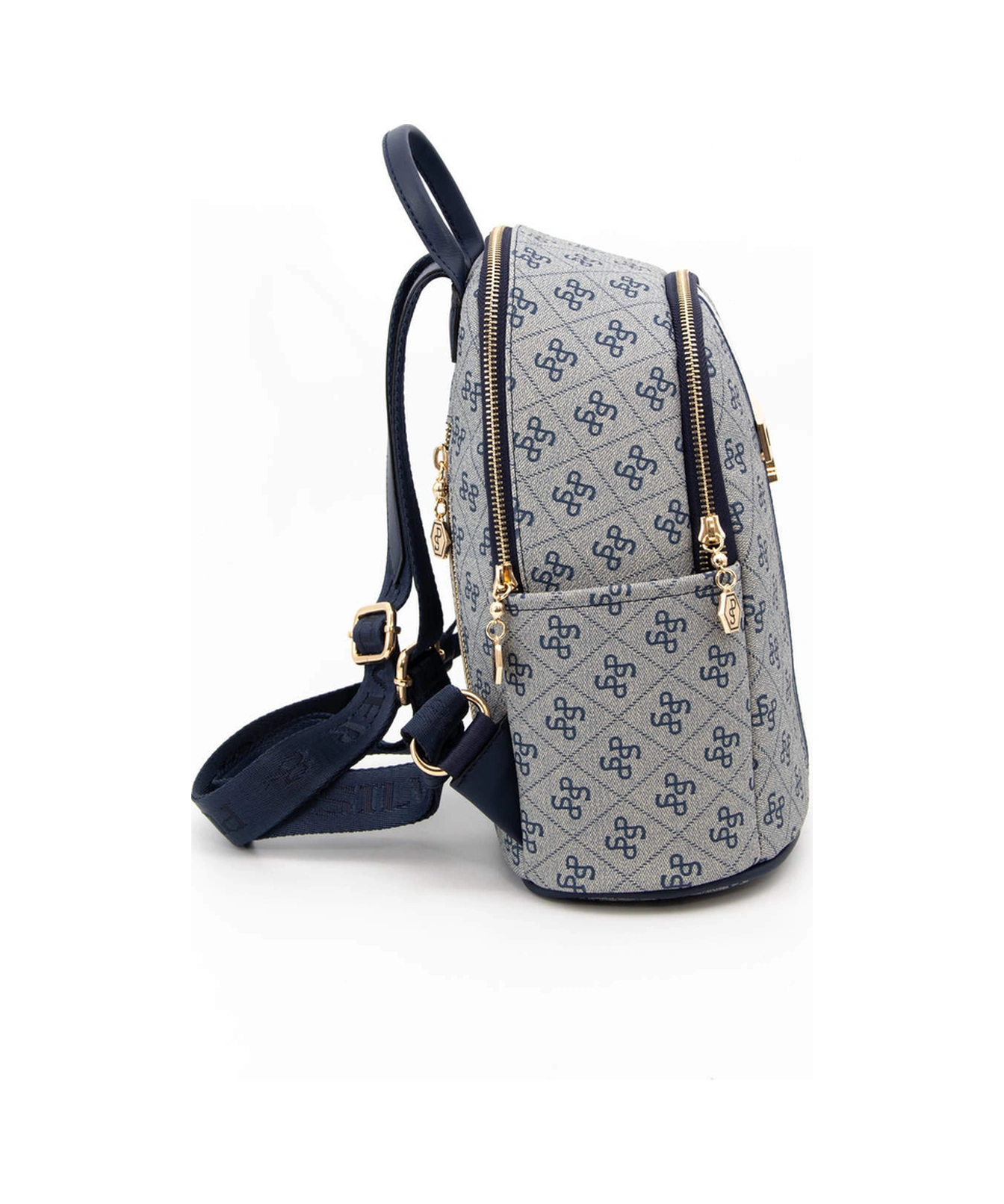 Silver Polo Kadın Sırt Çanta 1161 Gri