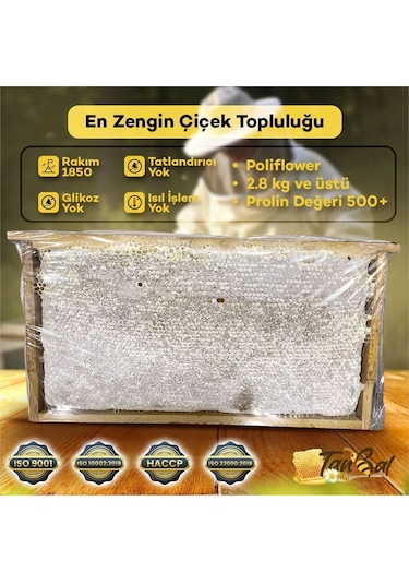 Tanbal Yayla Çiçek Balı 2800 G