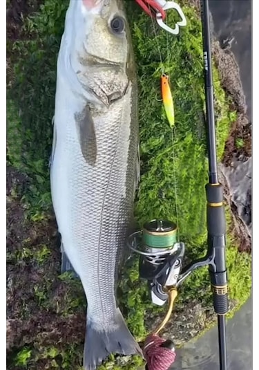 Sardin2 29gr - Sahte Yem Kaşık Rapala - Levrek, Palamut, Lüfer, Ç