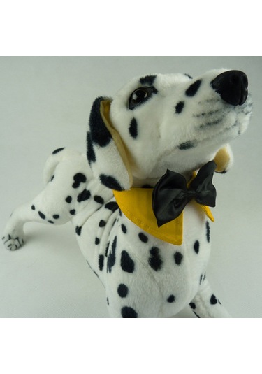 Homyl Ayarlanabilir Pet Köpek Tasması Köpekler Turuncu-s Turuncu