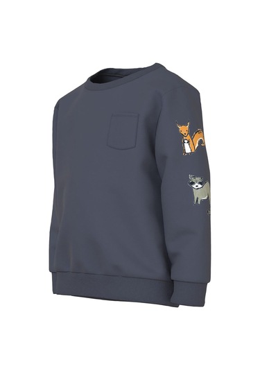 Antrasit Name İt Erkek Çocuk Bisiklet Yaka Sweatshirt 13221486 001 Antrasit