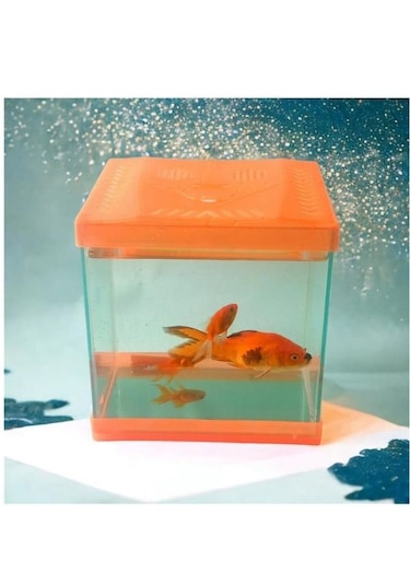 Canlipetshop Turuncu Renkli Mini Kare Akvaryum 20x20x15 CM