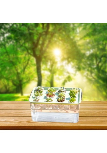 Suntek Hidroponik Yetiştirici Kutusu 12 Delik Sebzeler Yeşil