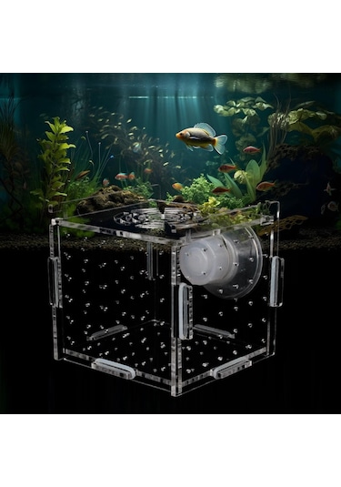 Magideal Suntek Akvaryum Balık Yetiştirici Kutu