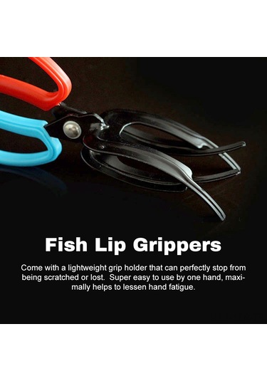 Geeroyoo Üç Dişli Balık Tutma Pensli Metal Balık Yakalama Aleti, Pratik Ve Dayanıklı Balıkçılık Ekipmanı