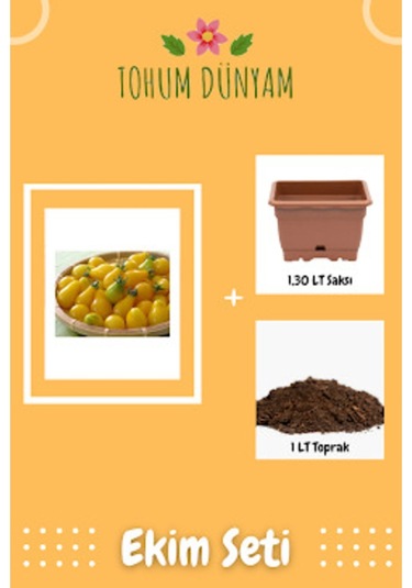 Sarı Ampul Cherry Domates Tohumu Ekim Seti