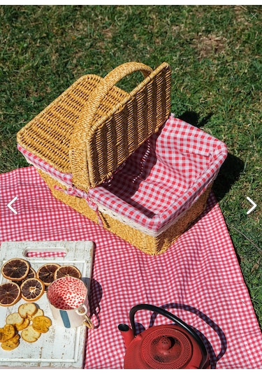 Sepetçibaba Adelya - Piknik Sepeti Plastik Hasır Görüümlü - Frs20