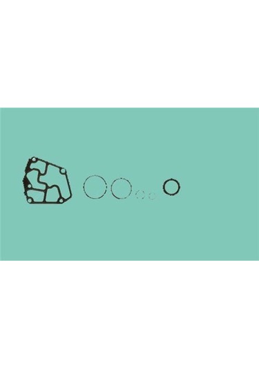 REINZ 08-31414-03 MOTOR TAKIM CONTA ALT GOLF IV BORA / A3 / TOLED