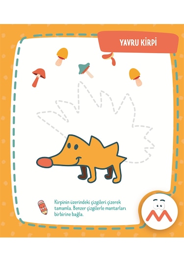 Eğitici Çizgiler - Dikkat Atölyesi Yayınları