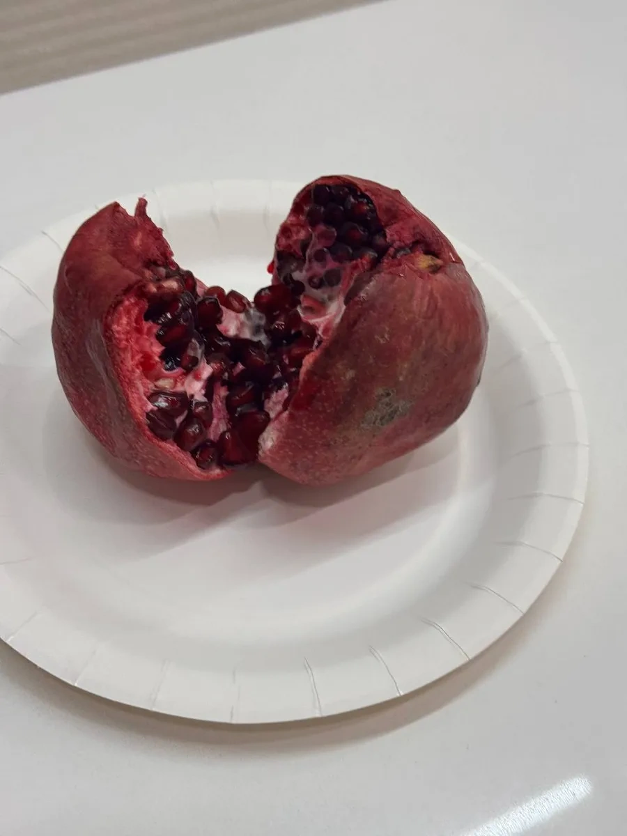 Euecopack Kağıt Tek Kullanımlık Tabaklar 20 Cm 100 Adet 323117245 100